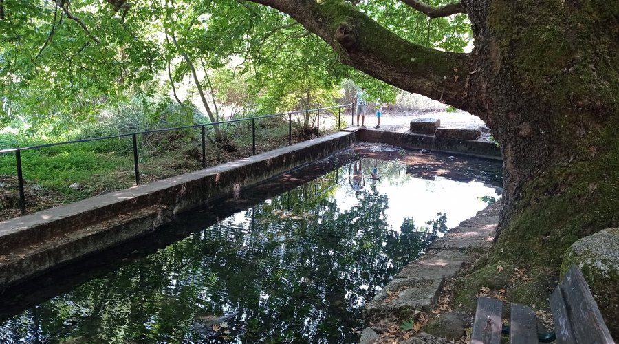 Η πηγή του Κηφισσού στον Πολύδροσο Παρνασσού