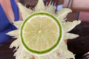 Bebidas