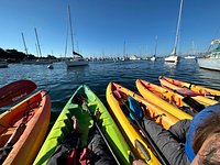 Kayaking with Sea Otters in Monterey Bay – Bearfoot Theory