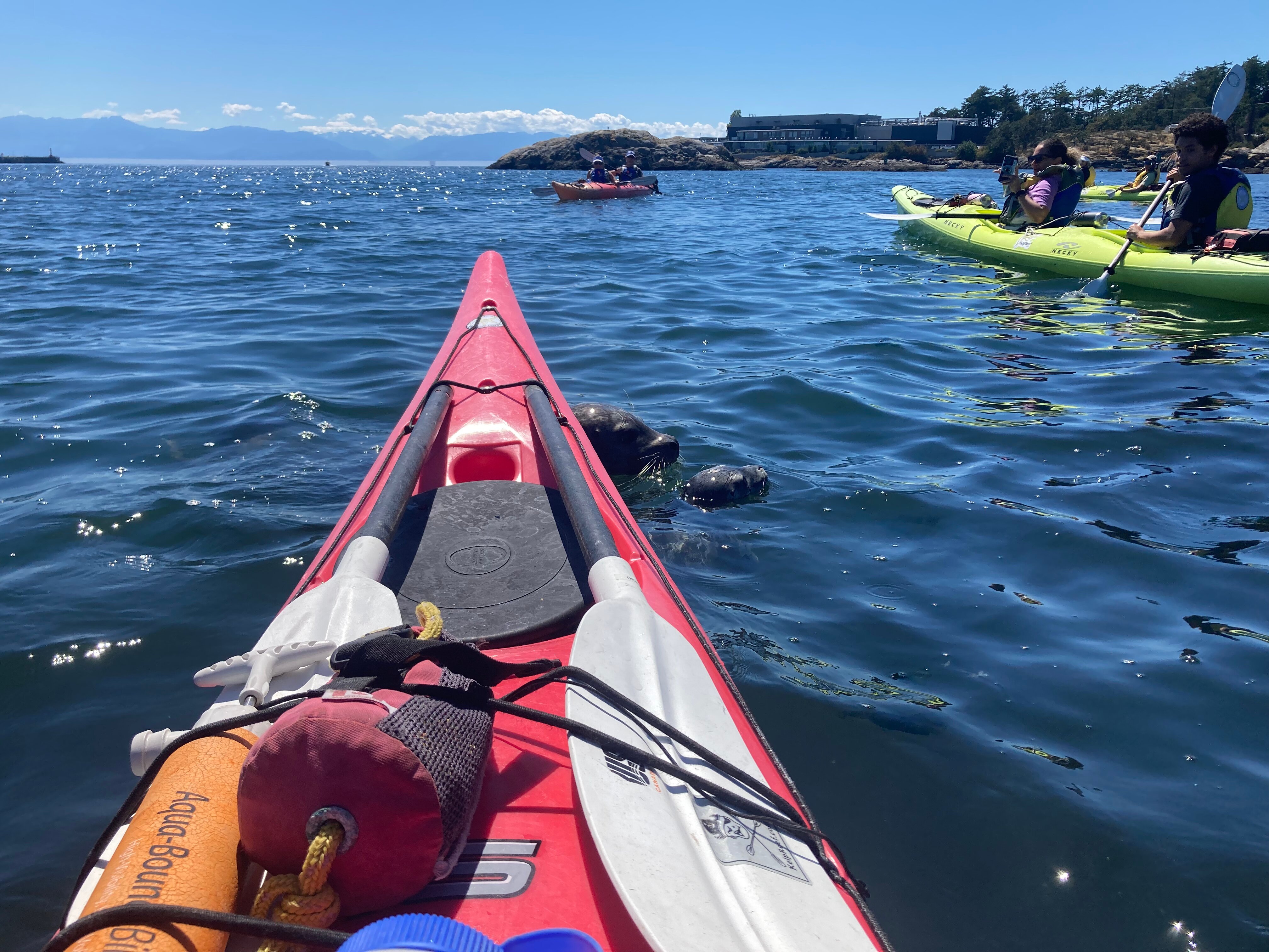 Best deal the deals roxy hotel kayak