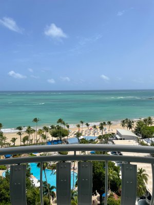 The Royal Sonesta San Juan - Updated 2023 Prices, Reviews & Photos 