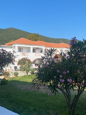 Relaxing by the pool - Picture of Alterego Studios, Zakynthos - Tripadvisor