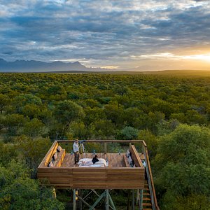 Experience the amazing sunsets of the Oase Treetop Sleepout.