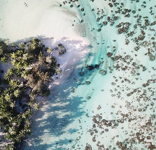 THE 15 BEST Things to Do in Tahaa - 2024 (with Photos) - Tripadvisor