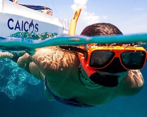 best snorkeling tours in providenciales