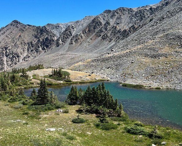 THE 15 BEST Things to Do in Buena Vista - 2023 (with Photos) - Tripadvisor