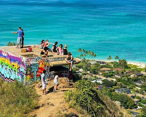 city bus tour hawaii