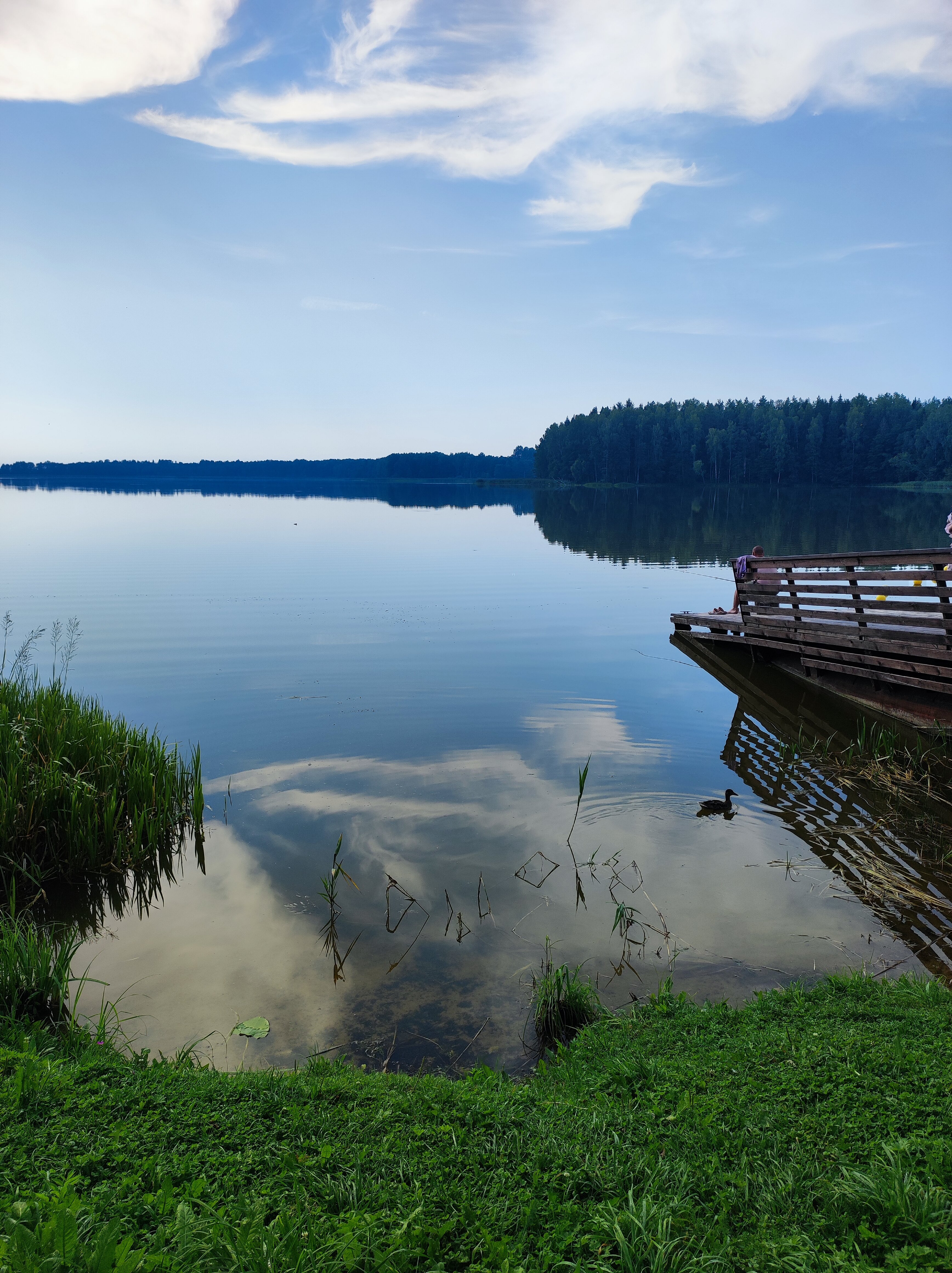Купить Дачу У Озера Лосвидо