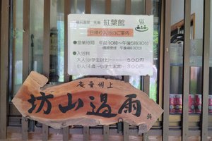 旅行者の写真