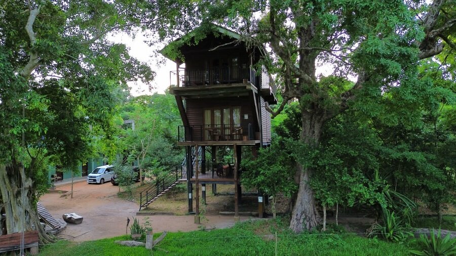 WILPATTU TREE HOUSE HOTEL - Updated 2024 Reviews, Photos & Prices