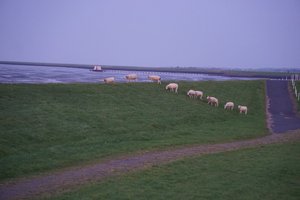 Reiziger