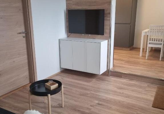 Living room with sofa bed - Apartment