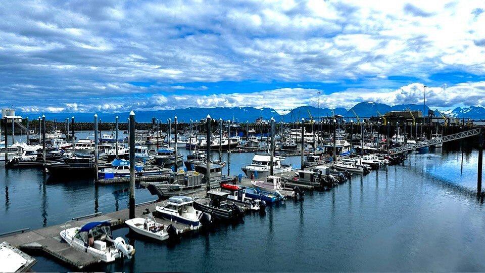 Everything You Need to Know About Homer, Alaska, Weather - The