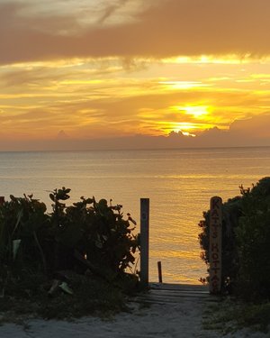 Katt's Kottages in Bimini