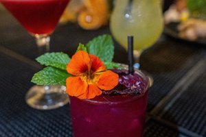 Drinks