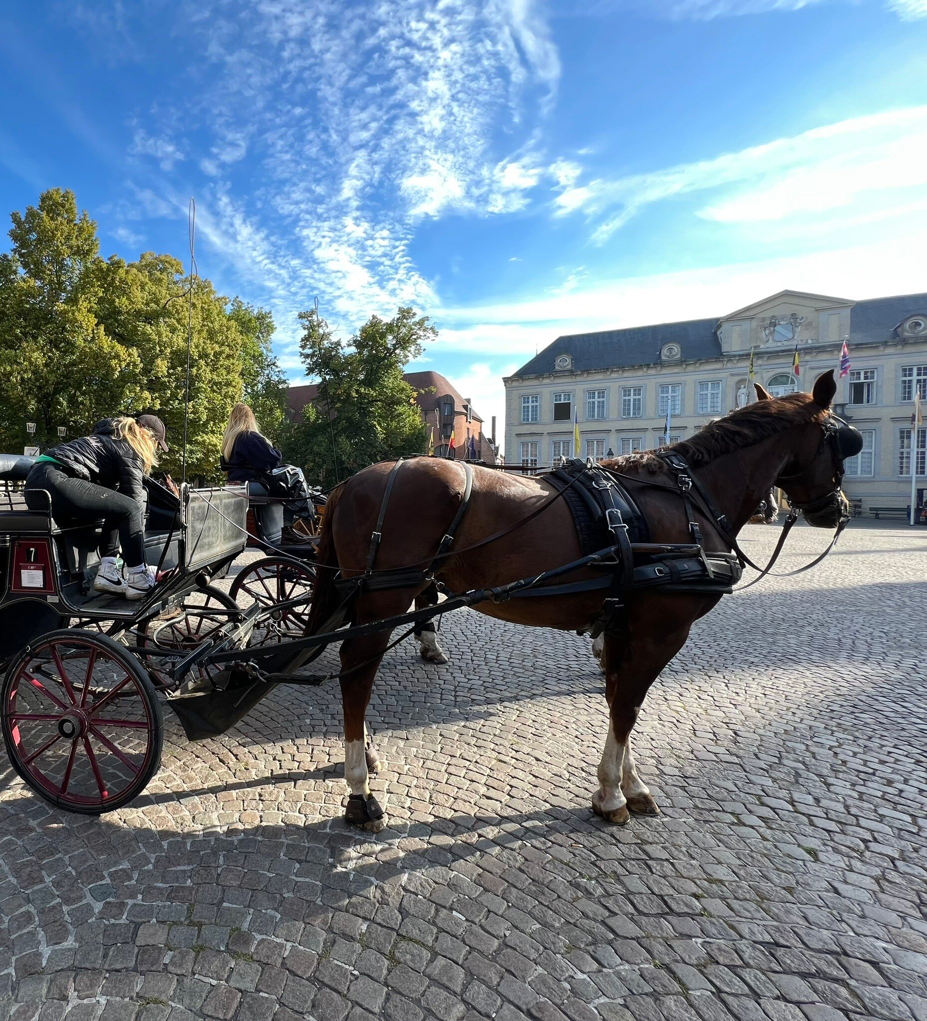 Bruges by Horse Drawn Carriage All You Need to Know BEFORE You