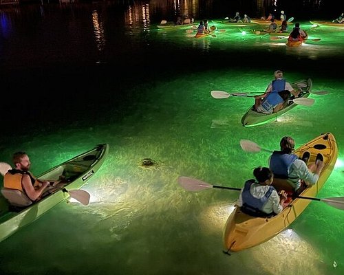 snorkeling tours st petersburg florida