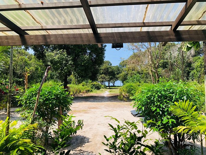 Tropical Resort Langkawi Pool Pictures And Reviews Tripadvisor