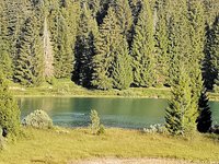 Baignade en plein-air au lac Genin, près d'Oyonnax