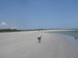 Piscina y playa