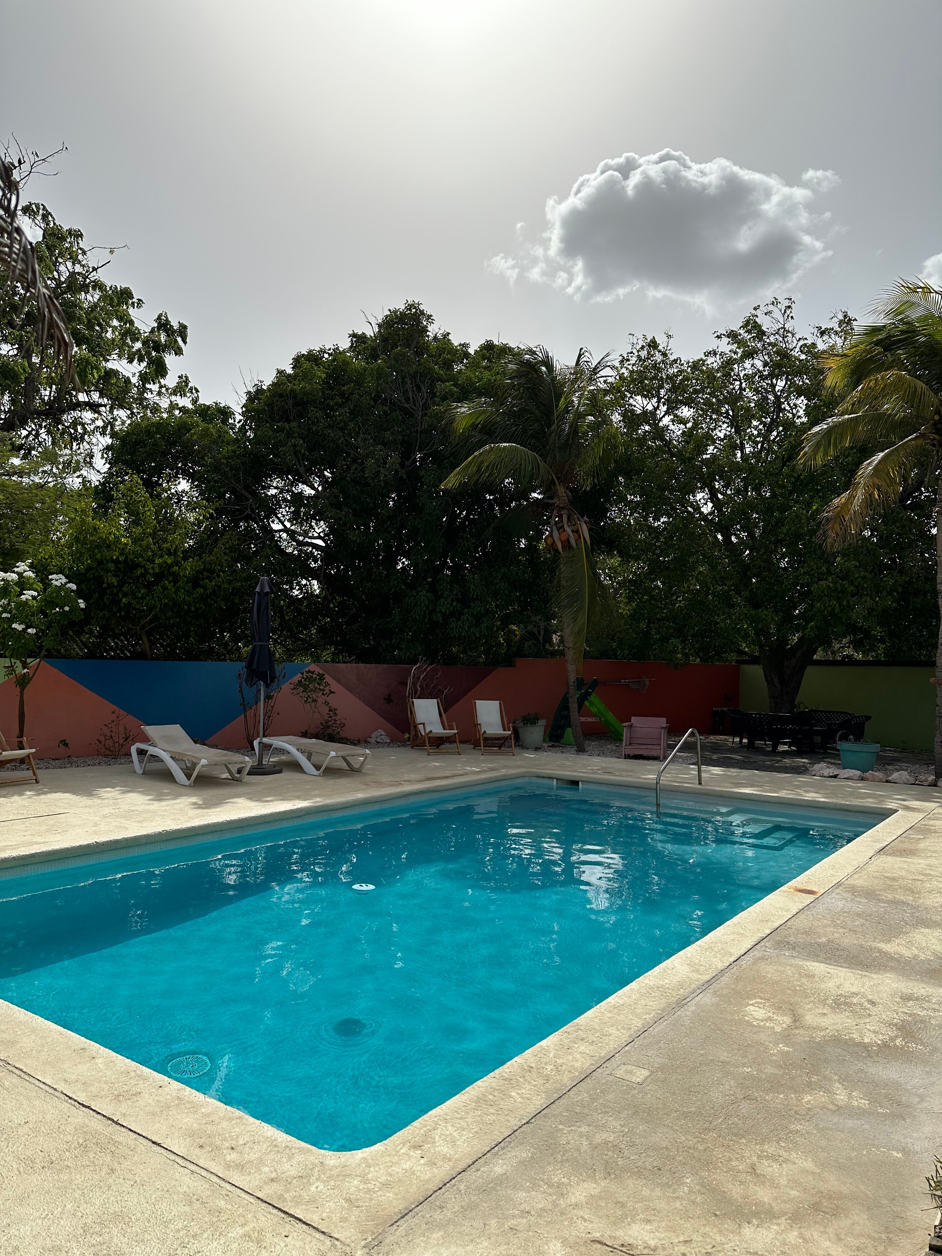 ABAAI RESORT - Prices & B&B Reviews (Curaçao/Willemstad)