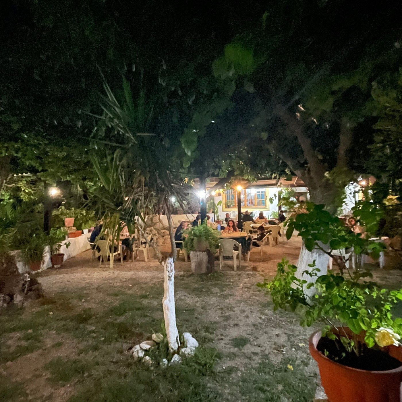 PARADISE, Agii Douli - Restaurant Reviews, Photos & Phone Number - Tripadvisor