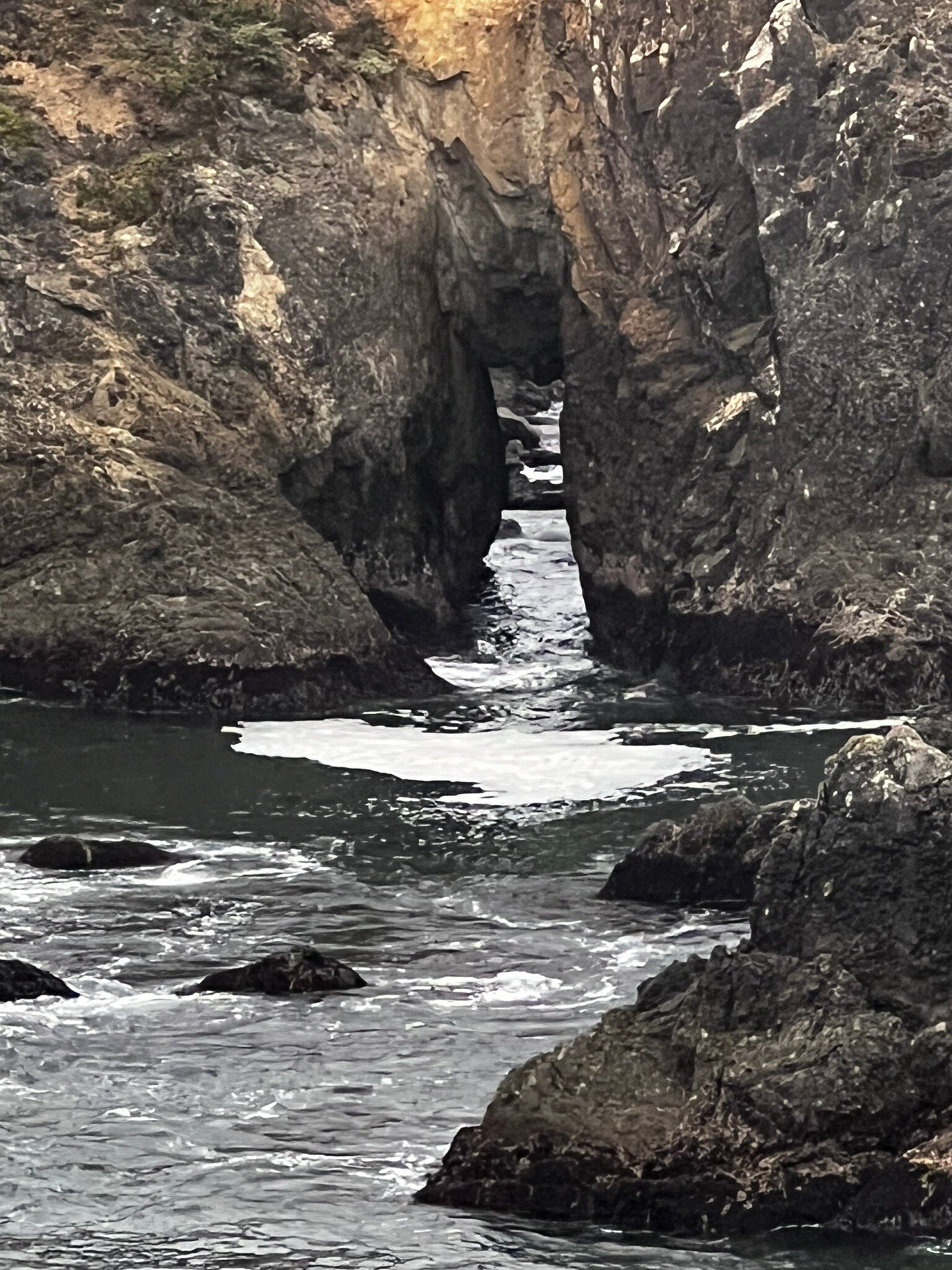 海滨牧场旅馆(The Sea Ranch) - 48条旅客点评与比价