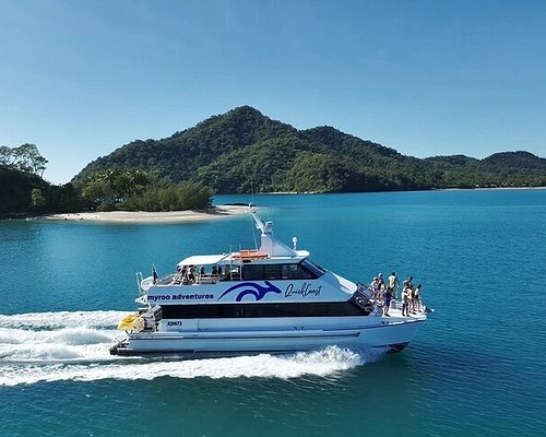 boat tours from cairns