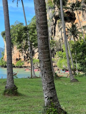 RAILAY BAY RESORT & SPA $51 ($̶9̶2̶) - Updated 2023 Prices