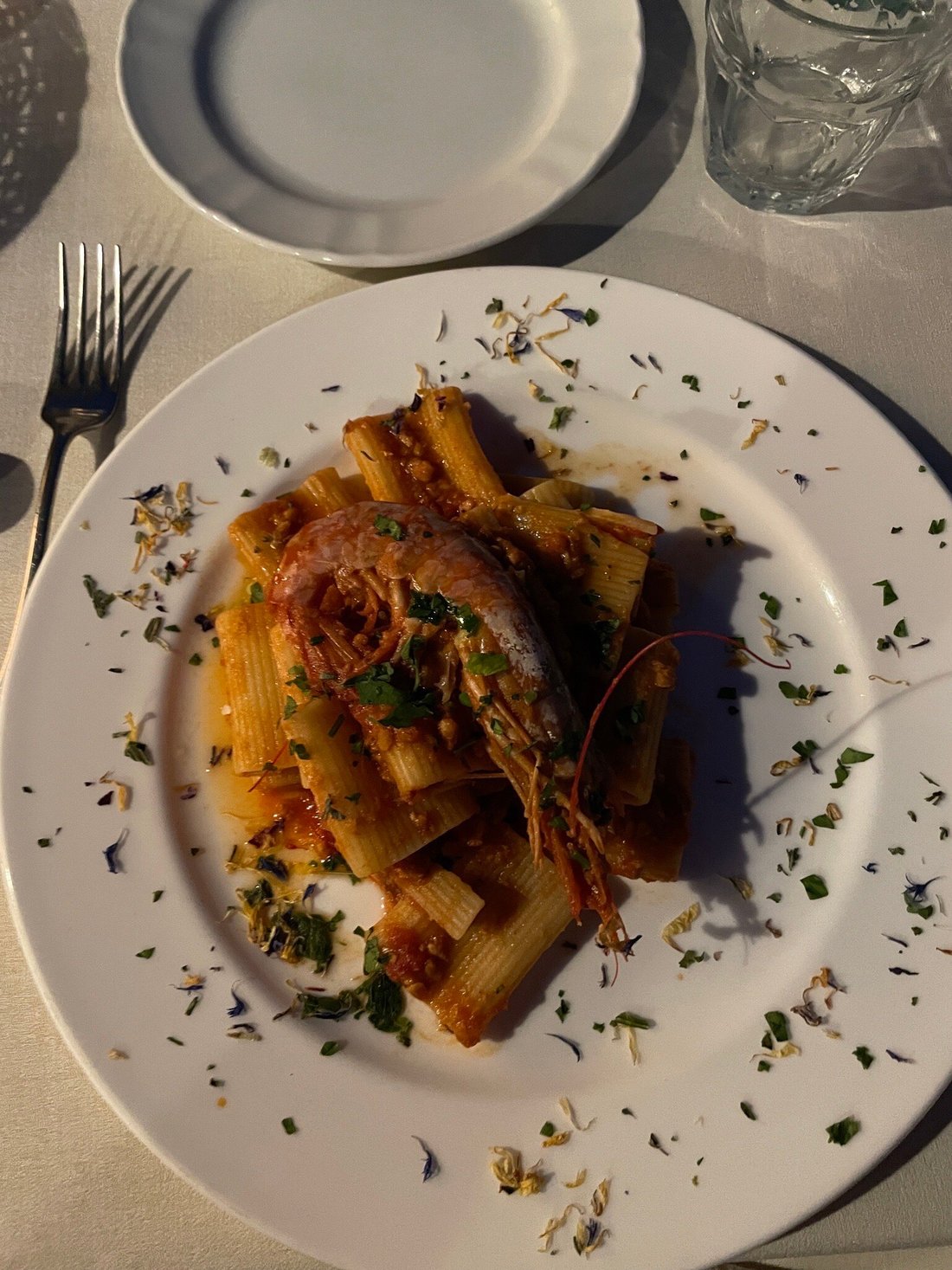 CASA OLIVA - Prices & Guest house Reviews (Italy/Serrungarina) CASA OLIVA - Prices &  Guest house Reviews (Italy/Serrungarina)