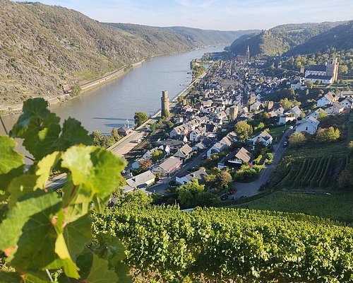german wine tourism