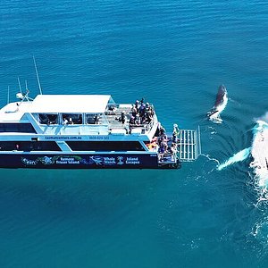 fraser experience day tour from hervey bay