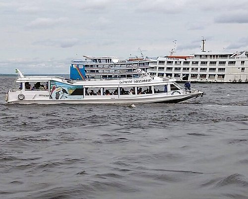 jungle tours from manaus