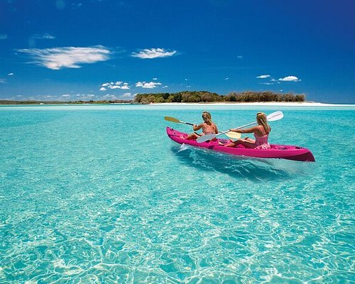 fraser island tour book