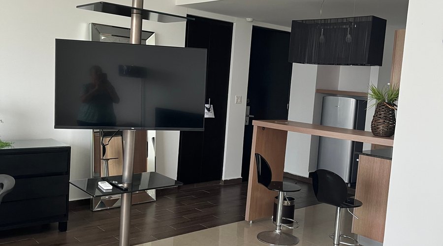 Televisión con servicio de cable.