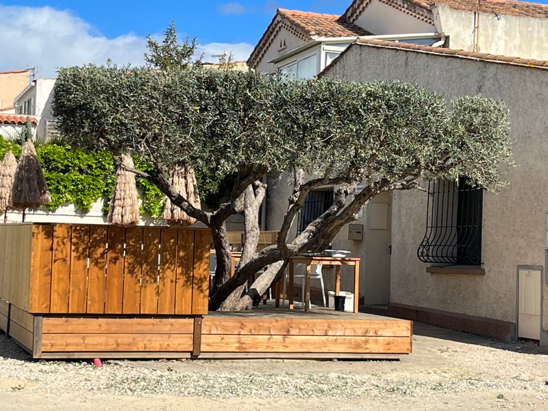 Perols, France: All You Must Know Before You Go (2025) - Tripadvisor