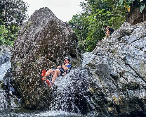 el yunque tours tripadvisor