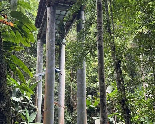 Touching the canopy as you cross!