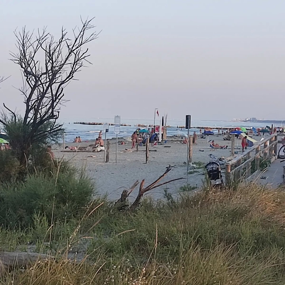 Spiaggia FKK (Lido di Dante) - Lohnt es sich? Aktuell für 2024 (Mit fotos)