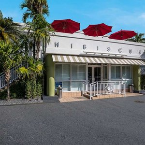 Best Western Hibiscus Motel in Key West