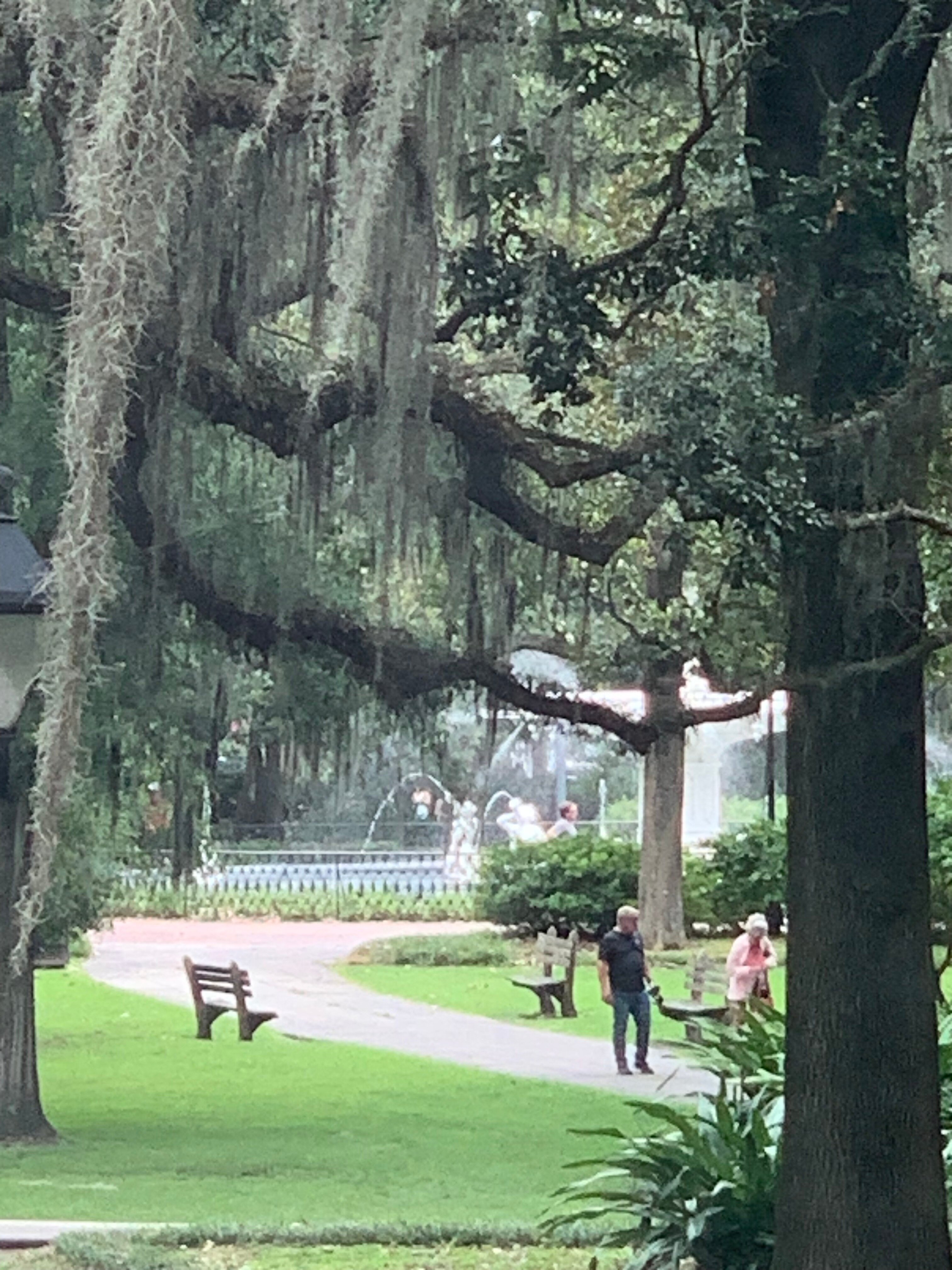 FORSYTH PARK INN - Updated 2023 Prices & B&B Reviews (Savannah, GA)