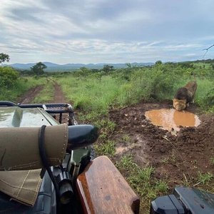 NKANDLA FOREST RESERVE (KwaZulu-Natal): Ce qu'il faut savoir pour votre ...