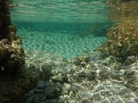 Piscines Naturelles - All You Need to Know BEFORE You Go (with Photos)