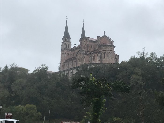 Imagen 4 de Taxitur Lagos de Covadonga