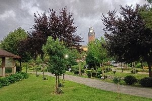 Seyahat Eden