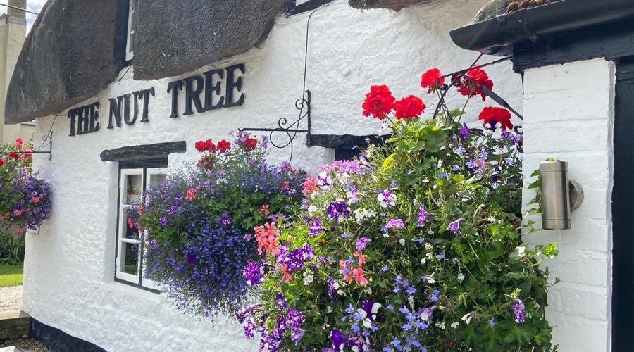 Nut Tree Inn image 3 - Full view