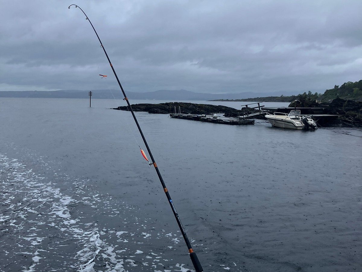 Dobbers en haken genoeg! - Picture of Oslo Fjord Boat Fishing - Tripadvisor