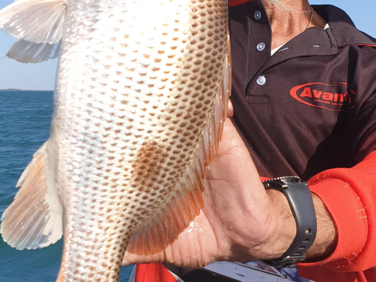 Our boat holds 8 people max - Picture of Darwin Harbour Fishing Charters -  Tripadvisor