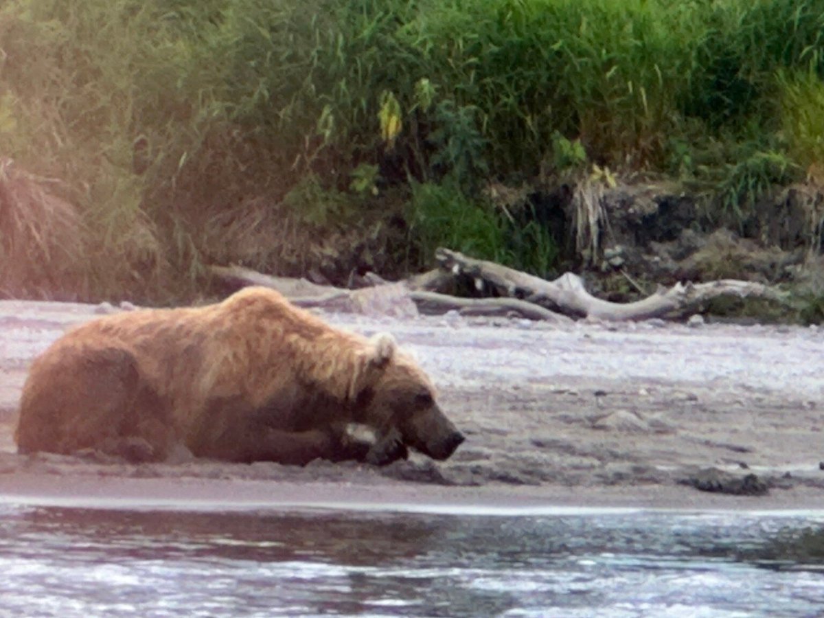 Kaмчатка Outdoors, Петропавловск-Камчатский: лучшие советы перед посещением  - Tripadvisor