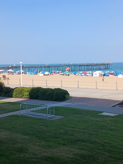 THE COLONY (Virginia Beach) - Apartment Reviews & Photos - Tripadvisor